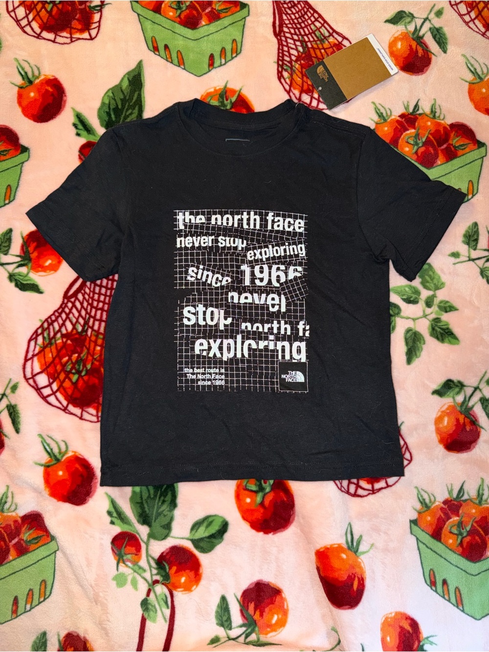 The North Face Boys Graphic Logo Tee Never Stop Exploring Black White TNF XS